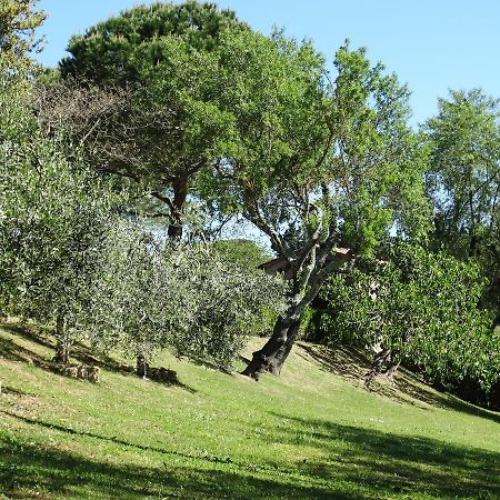 Santa Maria Della Pace Bed & Breakfast Montespertoli Luaran gambar